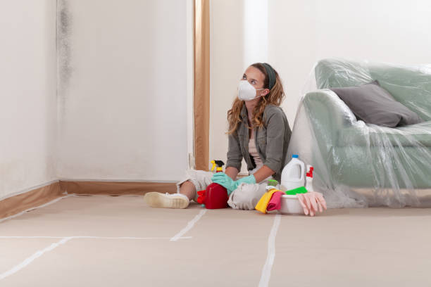Reliable Mold Testing contractor in Lowell, NC by WQB Mold Removal